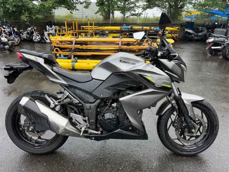 Kawasaki Z250 2017