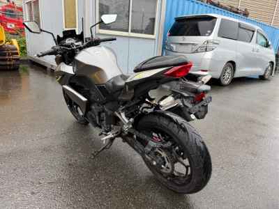 Kawasaki Z250 2017