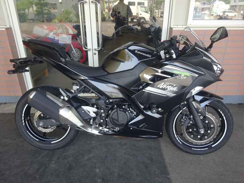 Kawasaki Ninja 250 2022