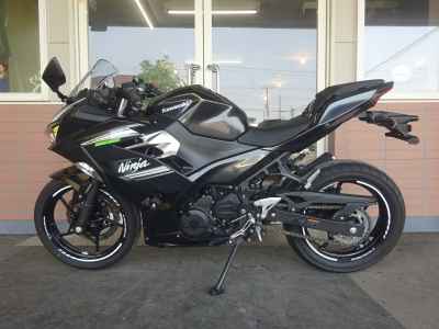 Kawasaki Ninja 250 2022