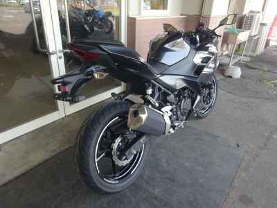 Kawasaki Ninja 250 2022