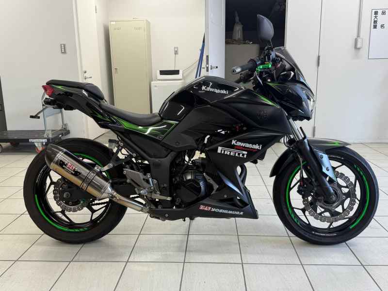 Kawasaki Z250 2016