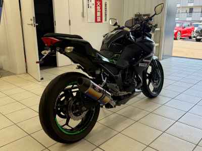 Kawasaki Z250 2016