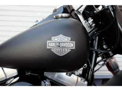 Harley-Davidson Fat Boy FLSTFB1580 2013
