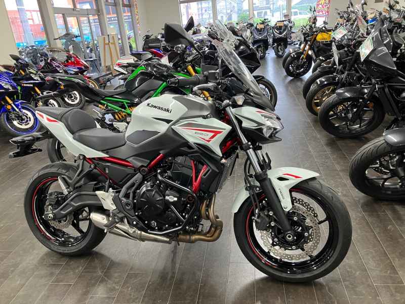 Kawasaki Z650 2022