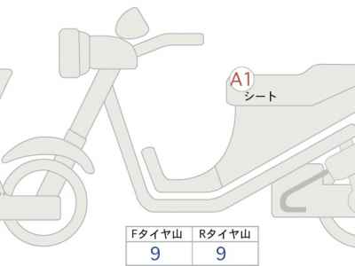 Triumph Trident 660 2021