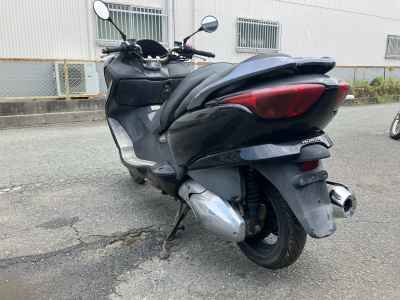 Honda Forza Z 2005