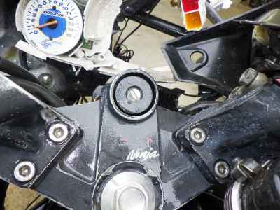 Kawasaki Ninja 250 2009