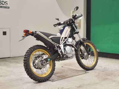 Yamaha TRICKER 2004