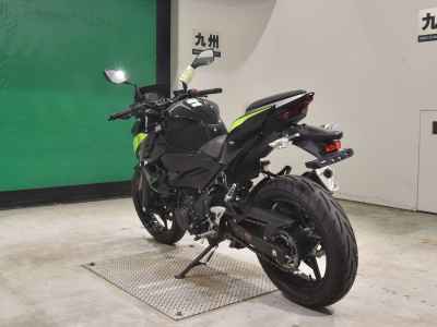 Kawasaki Z250 2022