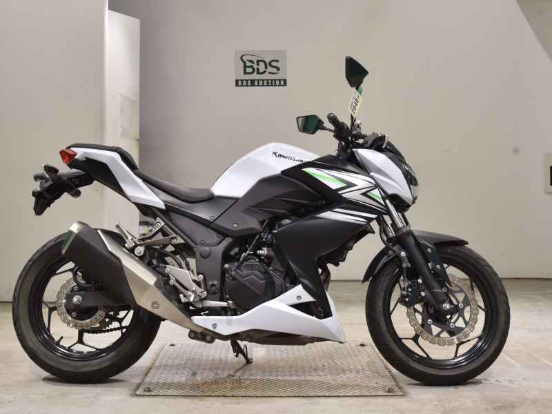 Kawasaki Z250 2014