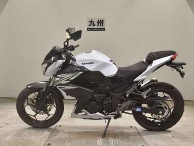 Kawasaki Z250 2014