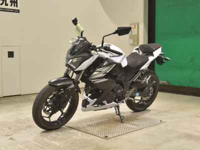 Kawasaki Z250 2014