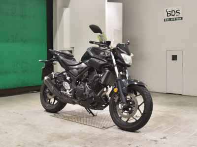 Yamaha MT-25 2017