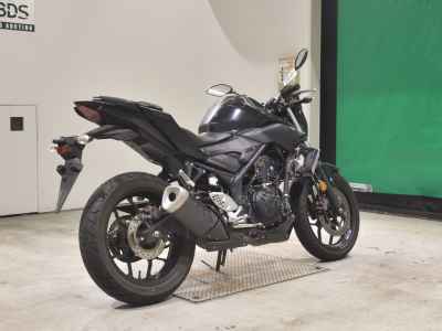 Yamaha MT-25 2017