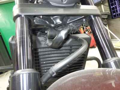 Honda Rebel CMX1100 DCT 2021