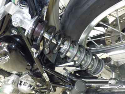 Kawasaki W800 2022