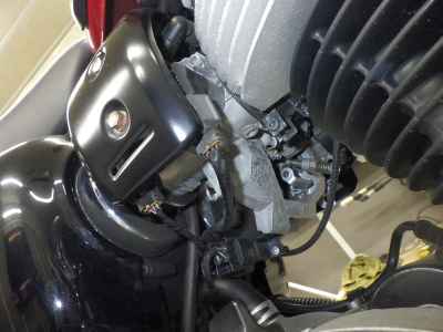 Kawasaki W800 2022