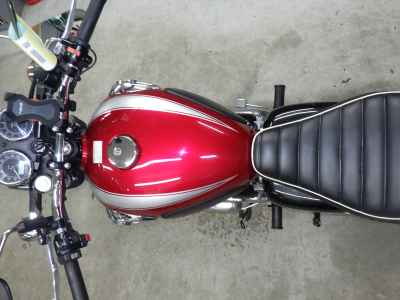 Kawasaki W800 2022