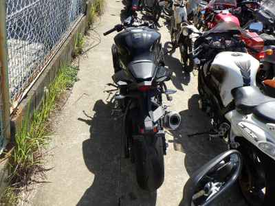 Yamaha YZF-R1 2024