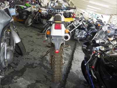 Honda XR250 1997