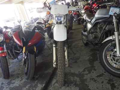 Honda XR250 1997