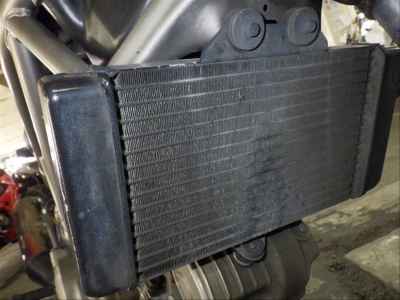 Honda VTR250 1998
