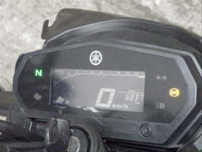 Yamaha FZS25 2021