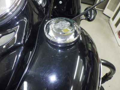 Harley-Davidson Slim FLS1580 2015