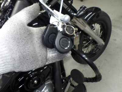 Harley-Davidson Slim FLS1580 2015