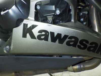 Kawasaki Ninja 1000 2017