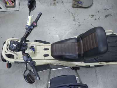 Honda PS250 BIG RUCKUS 2006