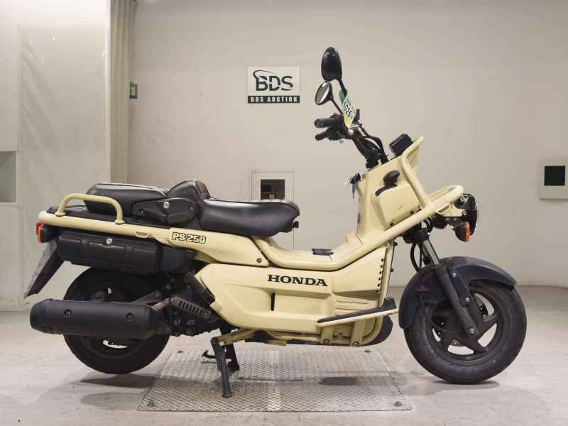 Honda PS250 BIG RUCKUS 2006