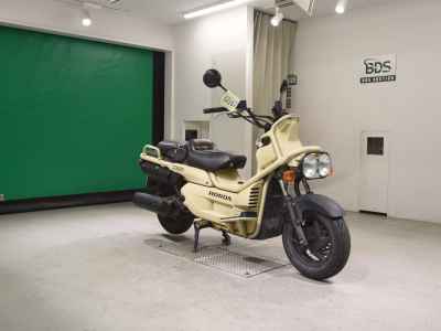 Honda PS250 BIG RUCKUS 2006