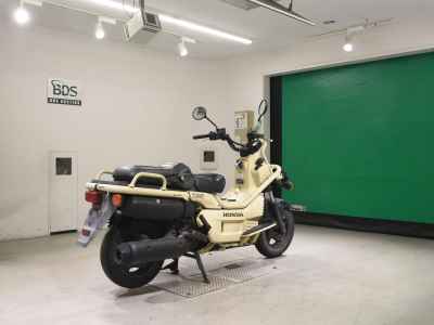 Honda PS250 BIG RUCKUS 2006