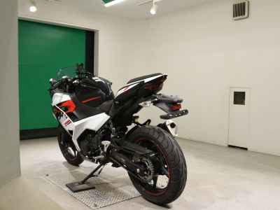 Kawasaki Ninja 250 2020