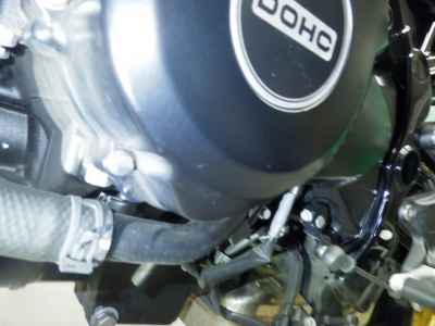 Kawasaki Z900RS 50th Anniversary 2022