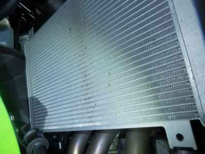 Kawasaki ZX-4RR 40TH 2024