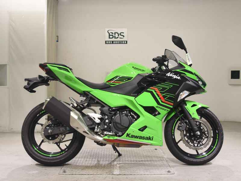 Kawasaki Ninja 250 KRT 2024