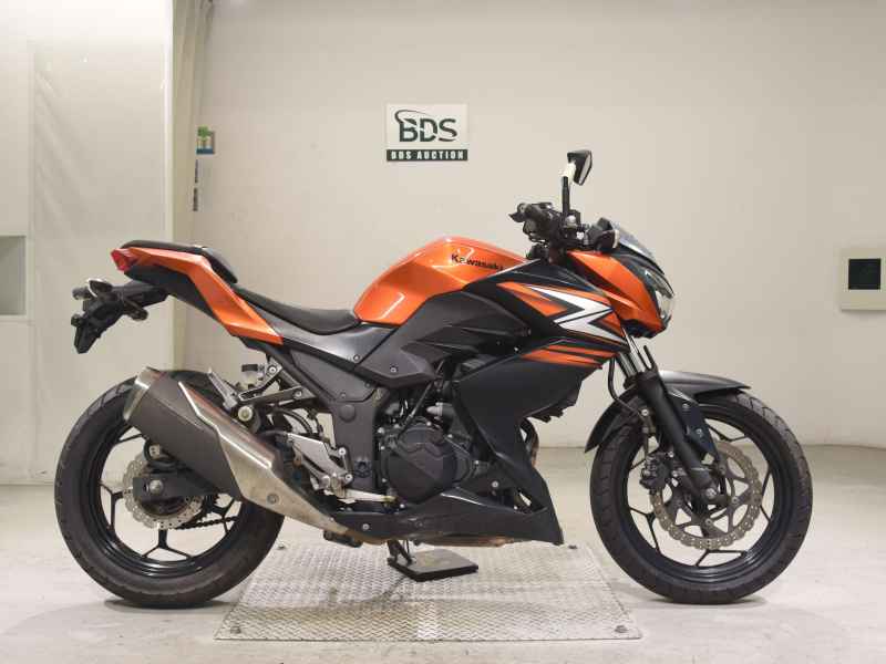 Kawasaki Z250 2014