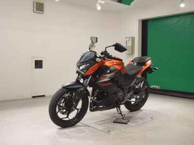 Kawasaki Z250 2014