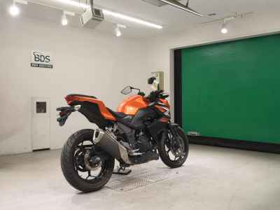 Kawasaki Z250 2014
