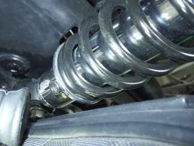 Kawasaki W800 2022