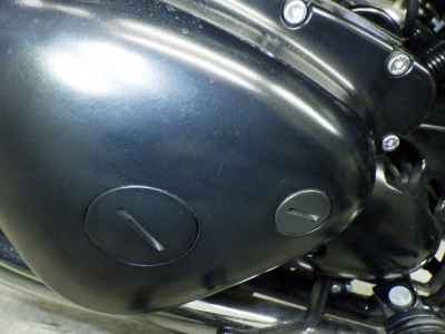 Kawasaki W800 2022