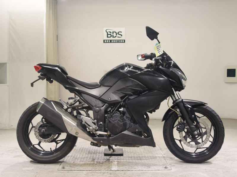Kawasaki Z250 2013