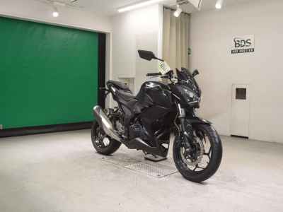 Kawasaki Z250 2013