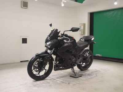Kawasaki Z250 2013