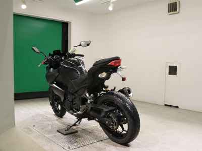 Kawasaki Z250 2013