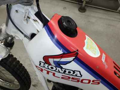 Honda RTL250R 1985
