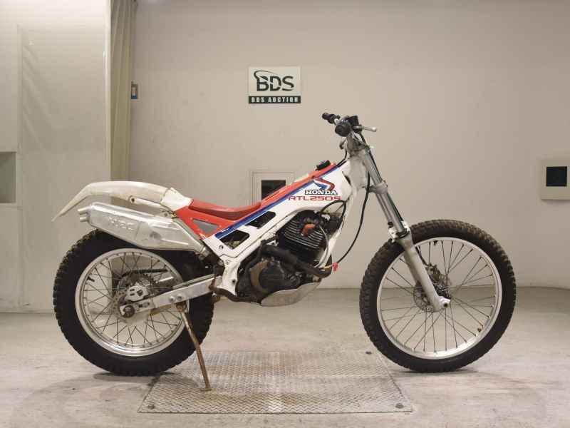 Honda RTL250R 1985